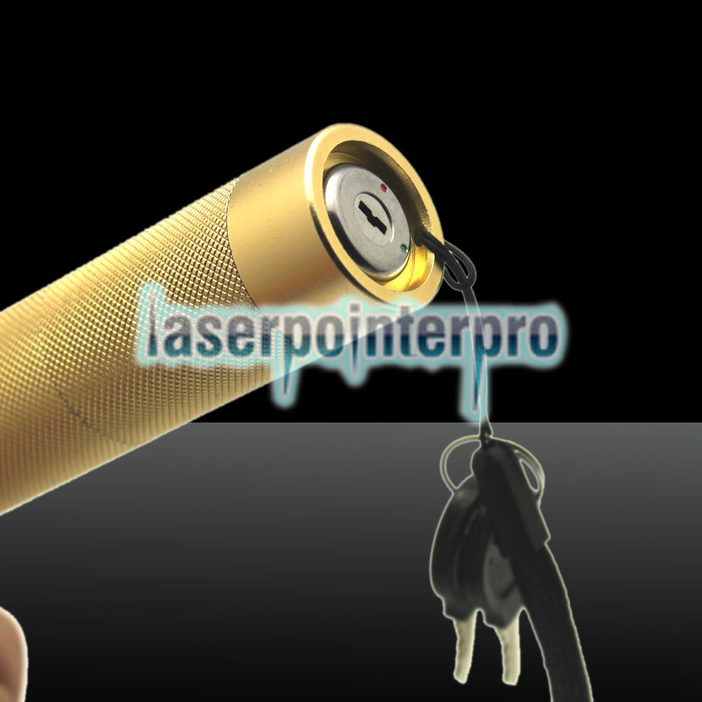 Kit penna puntatore laser focalable per luce laser a fascio luminoso di 100 mW 532nm Golden