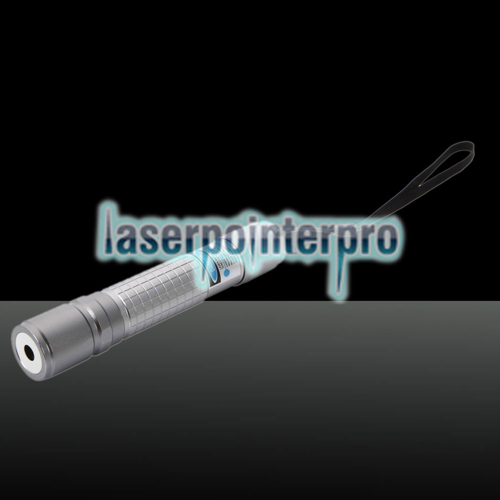 Stylo pointeur laser de style point unique de lumière bleue faisceau 2000mW 450nm argent