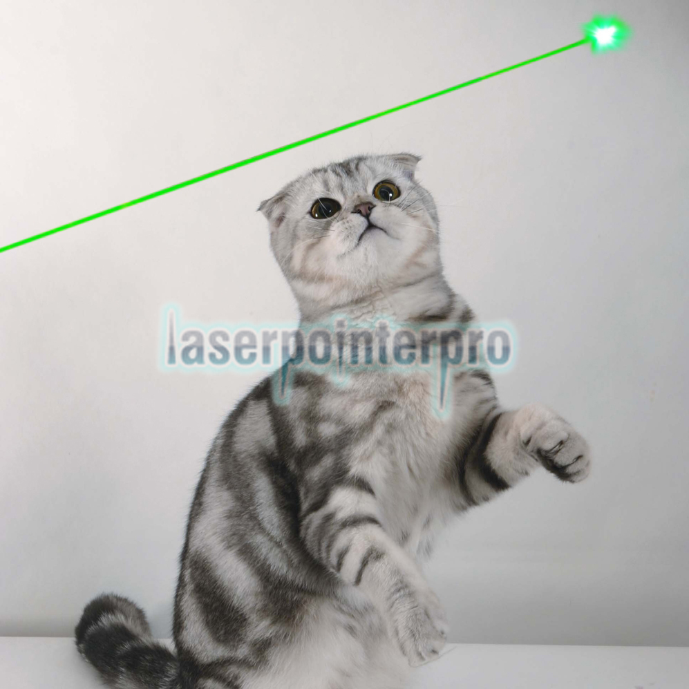 5mW 405nm Lichtstrahl-Licht-Purpur-Laserpointer