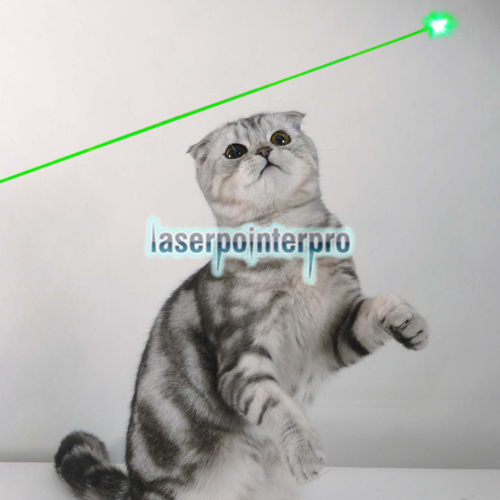 5mW 532nm Beam Light Green Laser Pen Silver and White