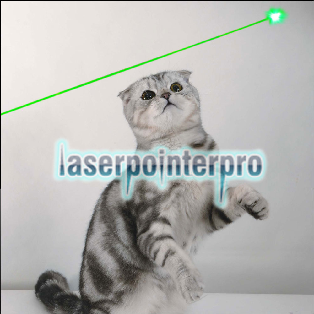 Pointeur laser vert 5mW Gypsophila Light Pattern Professional Vert