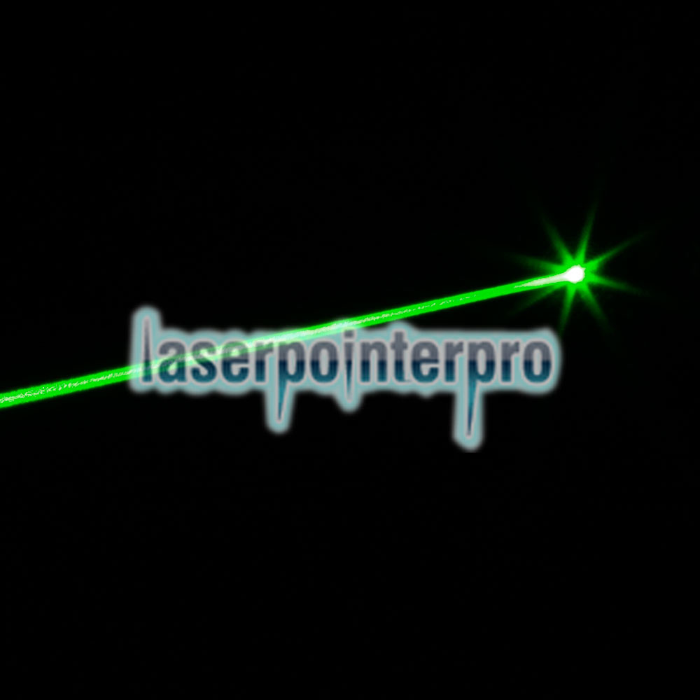 5mW Gypsophila Light Pattern Professional Green Puntero láser verde