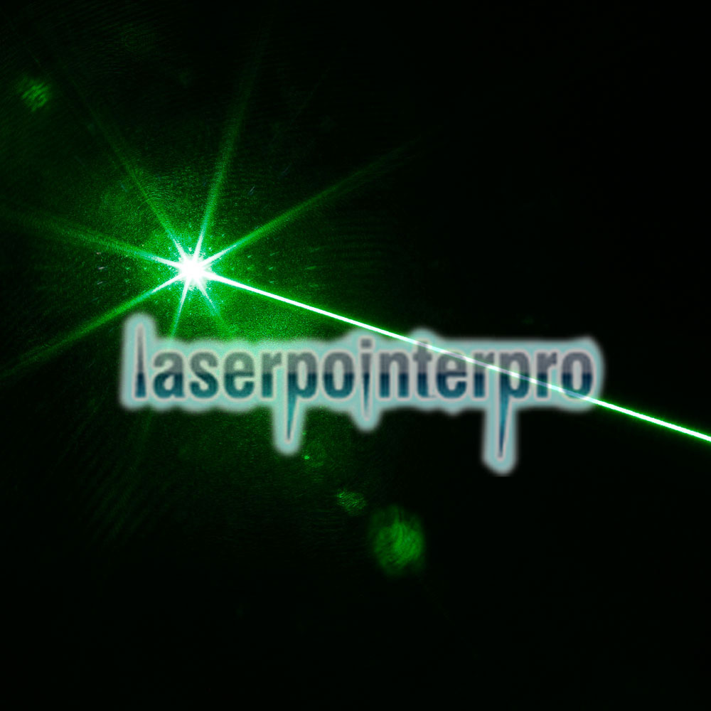 Combinaison de pointeur laser verte professionnelle 300mW avec batterie 16340 et chargeur argent