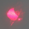 Il portachiavi telescopico Focusing + 5WM laser rosso 3Modes mini torcia Red