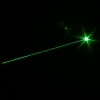 1mW puntatore laser verde + 4 in 1 5mW puntatore laser rosso Pen (Red Laser + torcia led + scrittura + PDA Stylus Pen)